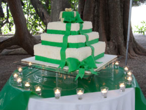 wedding-cake-231
